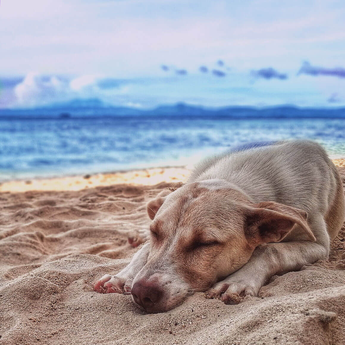 I used to think that I was wasting time taking a break, a day-off, or even a short vacation. Turns out most of us should do it to stay sane and productive.